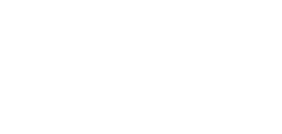 Singa reality